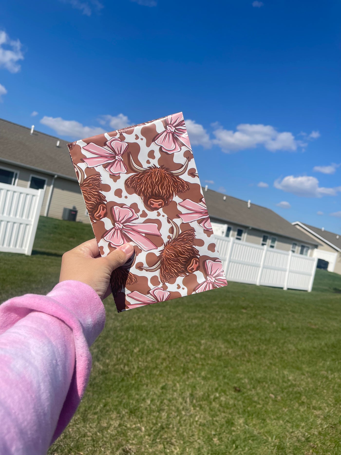 6x9 Sweet Southern Moo Poly Mailer