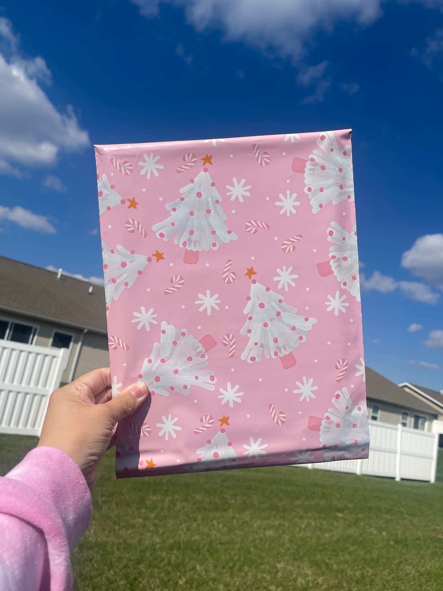 14x17 Pink Christmas Poly Mailer